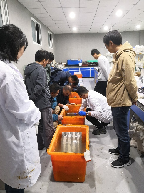 首页| G22恒峰集团中国官方网站